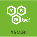 Ysm_bi