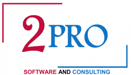 2PRO CONSULTING